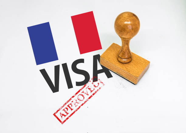 vfs france dubai: Visa application process
