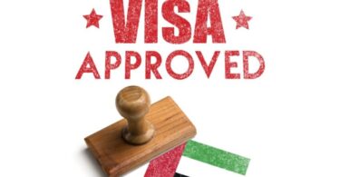 dubai visit visa status check steps and links