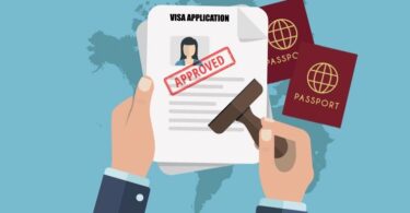how to check my visa status using passport number in uae