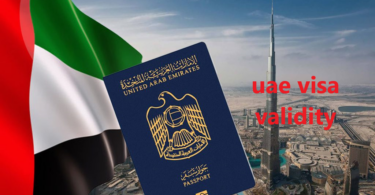 verify uae visa validity using passport only