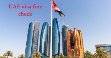 easy way out to visa fine check online in uae