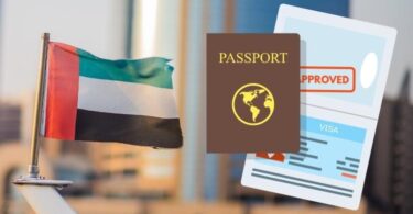 uae visa status check by passport number and check visa fine