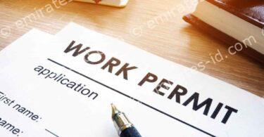 Easy Process for get electronic work permit information online