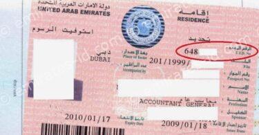 what is the uid number in uae and how to check uid number